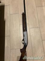BERETTA  AL 391 TEKNYS stonecoat gold 12