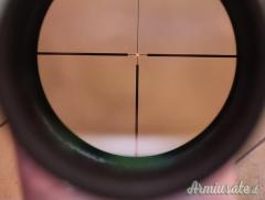 Nikon da battuta 1-4x24