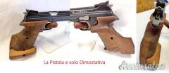 PER SIG P 210 Anatamiche