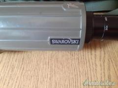 SWAROVSKI  EVERGREEN