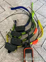 Garmin Alpha 100, più 4 colletti Tt15.