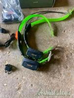 Dispositivo da collare Garmin TT15 usato