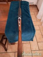 Beretta S55 12