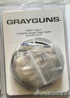 Grayguns P320ST- System Competition Straight Trigger System