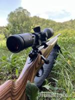 Remington 700 .243 Winchester