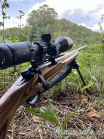 Remington 700 .243 Winchester