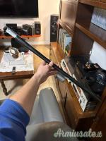Beretta 301 12