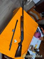 Beretta 301 12