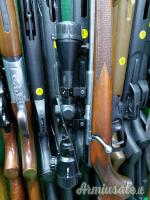 Winchester Wild cat .22 Long Rifle
