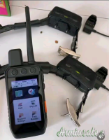 Alpha.200 gps 2.collier.TT15 dressage