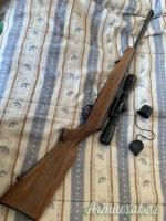 Beretta Sport .22 Long Rifle
