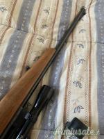 Beretta Sport .22 Long Rifle