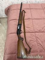 Beretta 302