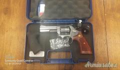 Smith & Wesson 686 - 6 .357 Magnum  |  9x31mmR  | .353 Casull