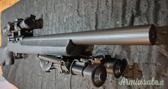 Ruger | Sturm 10/22 Tactical .22 Long Rifle