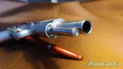 Kimber 1911 inox Target II .45 ACP