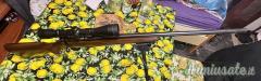 CZ | Ceska Zbrojovka 452 .17 Hornady