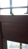Mrino Adesivo in fibra ottica