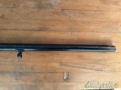 Canna benelli