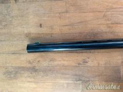 Canna benelli