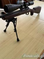 Browning Tbolt .17 Hornady
