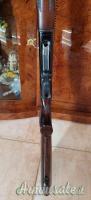 Beretta A303 12
