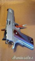 Kimber 1911 stainless steel target II .45 ACP