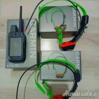 Ricevitore Alpha 300 Plus con collare TT25