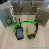 Ricevitore Alpha 300 Plus con collare TT25