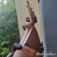 CZ | Ceska Zbrojovka 550 .243 Winchester