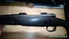Winchester 70 .270 Winchester Short Magnum