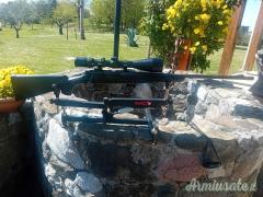 Remington 700 cal. 270 Winchester + leica er5 3-15x56
