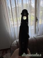 Franchi FALCONET C BECCACCIA 20