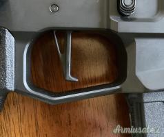AR15 M4 .223 Remington uso caccia