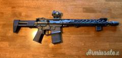 AR15 M4 .223 Remington uso caccia