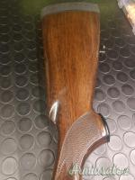 Beretta 301 12