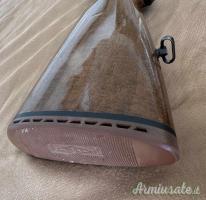 Beretta A300 12