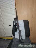 Winchester WILDCAT .22 Long Rifle