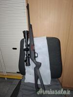 Winchester WILDCAT .22 Long Rifle
