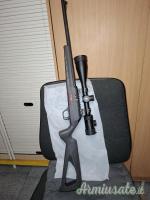 Winchester WILDCAT .22 Long Rifle