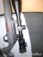 Winchester WILDCAT .22 Long Rifle