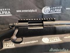 Remington 700 .308 Winchester