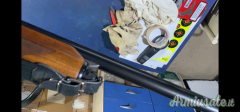 Beretta A301 12