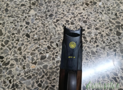 Beretta DT 11