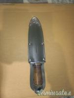 Aeronautica Militare Italiana