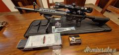 Springfield Saint .223 Remington