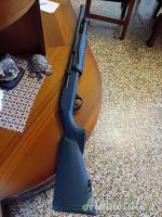 Hatsan escort 12