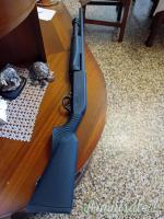 Hatsan escort 12