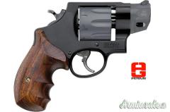 Smith & Wesson 327 .357 Magnum  |  9x31mmR  | .353 Casull