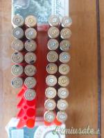257 weatherby magnum